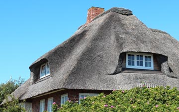 thatch roofing Mutley, Devon